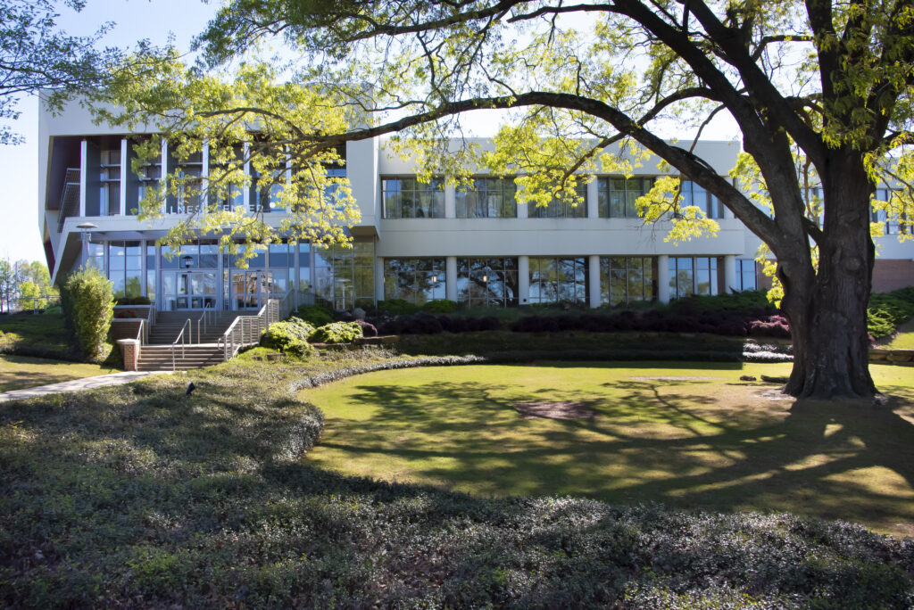 034- Red Oak tree at Wellness Center